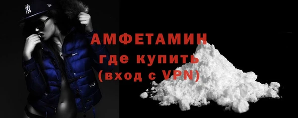 ГАЛЛЮЦИНОГЕННЫЕ ГРИБЫ Михайлов