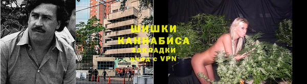 ГАЛЛЮЦИНОГЕННЫЕ ГРИБЫ Михайлов
