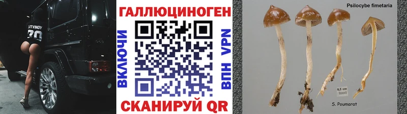 даркнет какой сайт  Очёр  Галлюциногенные грибы Cubensis 